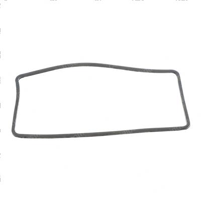Picture of O-Ring