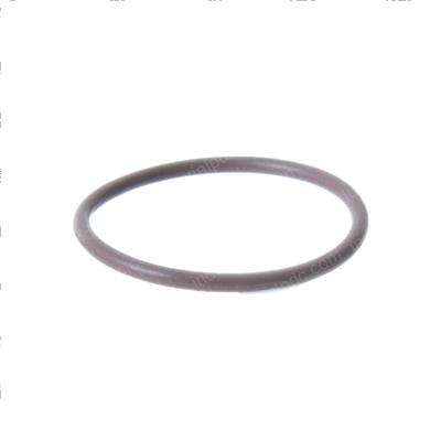 Picture of O-Ring
