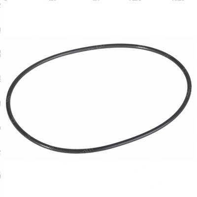 Picture of O-Ring
