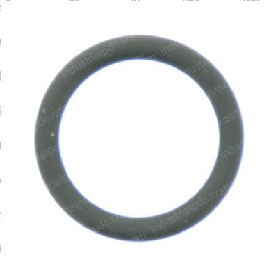 Picture of O-Ring