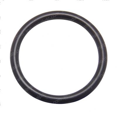 Picture of O-Ring