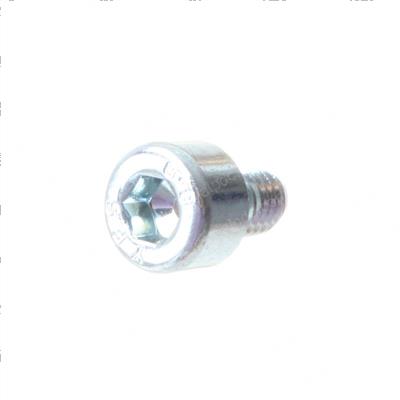 Picture of Screw