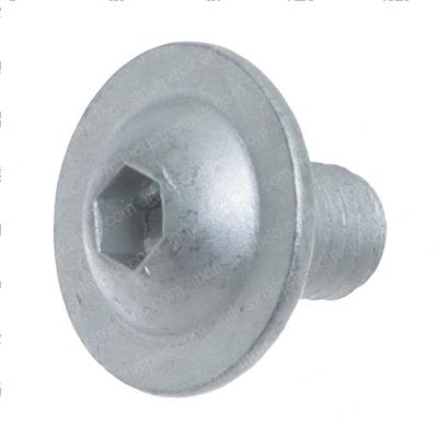 Picture of Screw