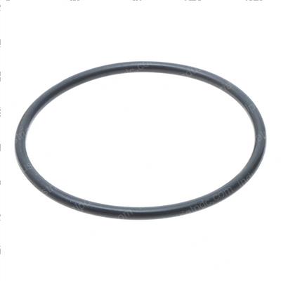 Picture of O-Ring