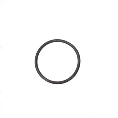 Picture of O-Ring