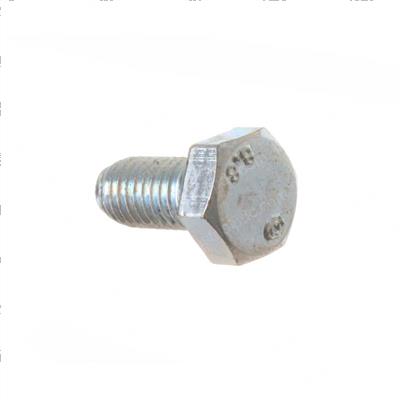Picture of Bolt