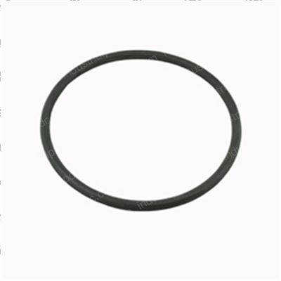 Picture of O-Ring