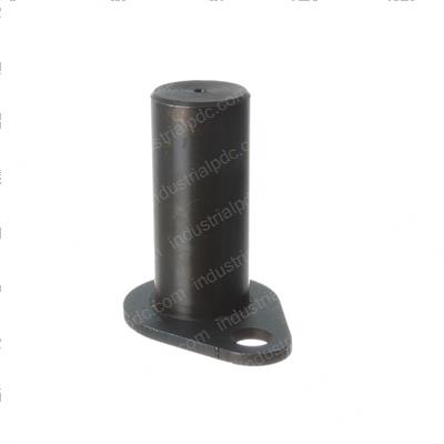 Picture of Pin