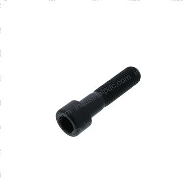Picture of Bolt