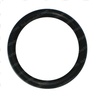 Picture of O-Ring