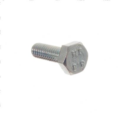 Picture of Bolt