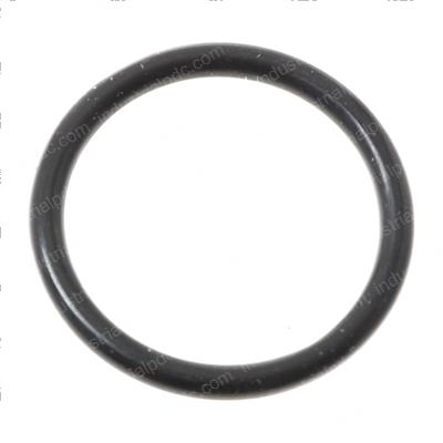 Picture of O Ring