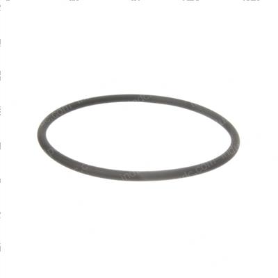 Picture of O-Ring