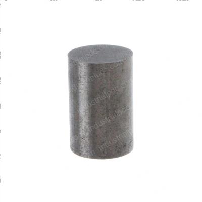 Picture of Plunger - Oil