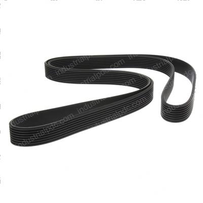 Picture of Belt - Front