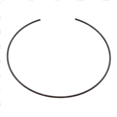 Picture of Ring - Retaining