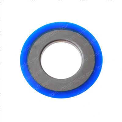 Picture of Seal