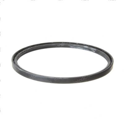 Picture of Seal - Oil