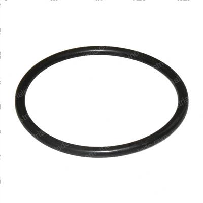 Picture of O-Ring
