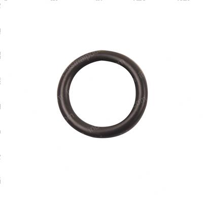 Picture of Seal