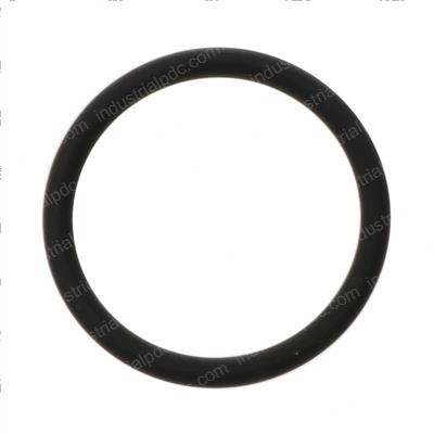 Picture of O-Ring