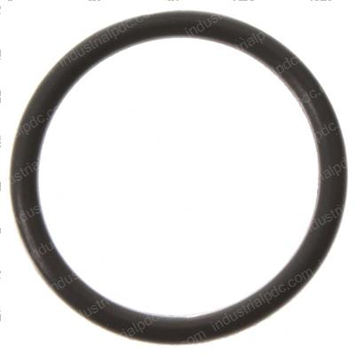 Picture of O-Ring