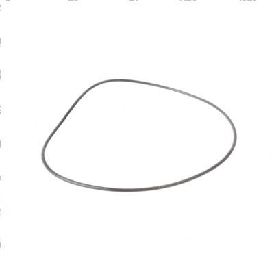 Picture of O-Ring