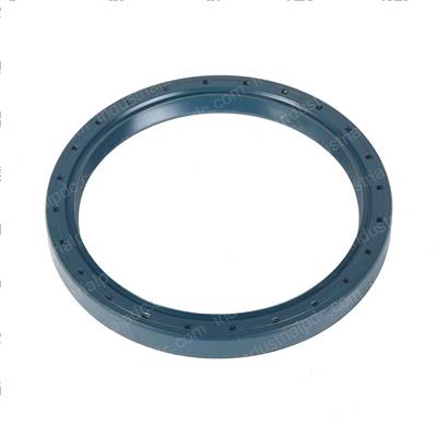 Picture of Seal