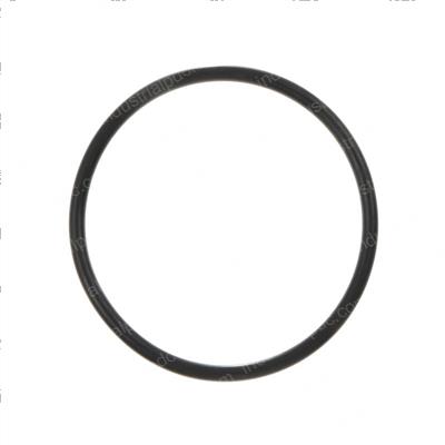 Picture of O-Ring