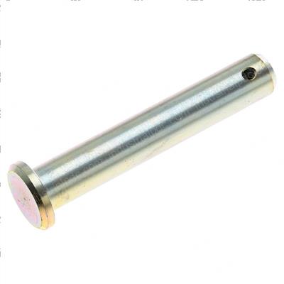 Picture of Bolt