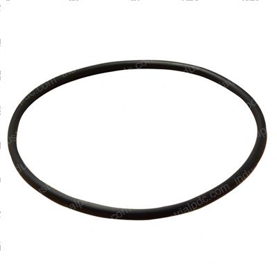 Picture of O-Ring