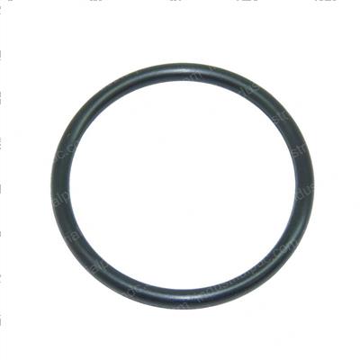 Picture of O-Ring