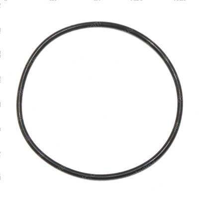 Picture of O-Ring