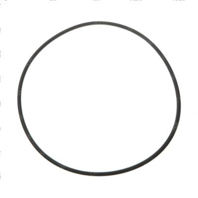 Picture of O-Ring