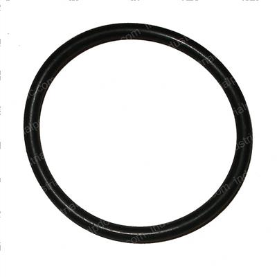 Picture of O-Ring