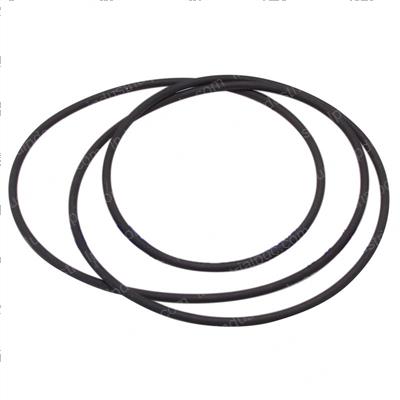 Picture of O-Ring