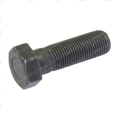 Picture of Bolt