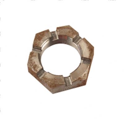 Picture of Nut - Castle