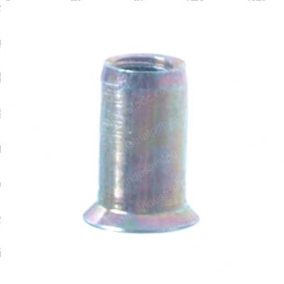 Picture of Rivet - Nut