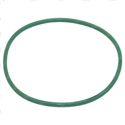Picture of O-Ring