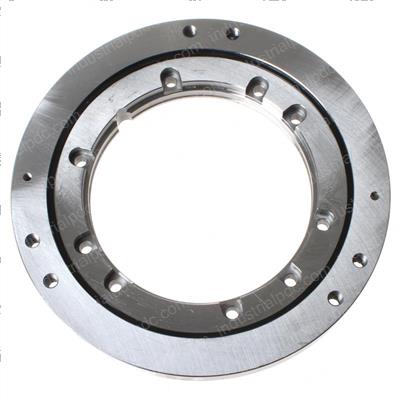 Picture of Ballbearing Race
