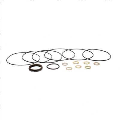 Picture of Seal Kit, Orbitrol Valve