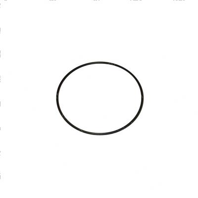 Picture of O-Ring