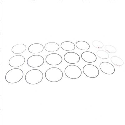 Picture of Ring Set - .020 (1 Cyl)