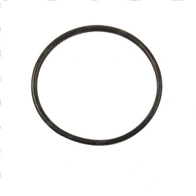 Picture of O-Ring