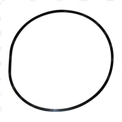 Picture of Ring - Back Up