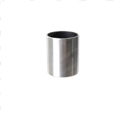 Picture of Bushing