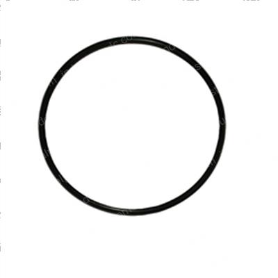 Picture of O-Ring