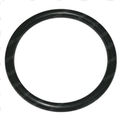 Picture of O-Ring