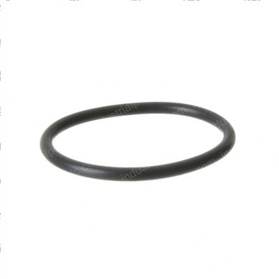 Picture of O-Ring
